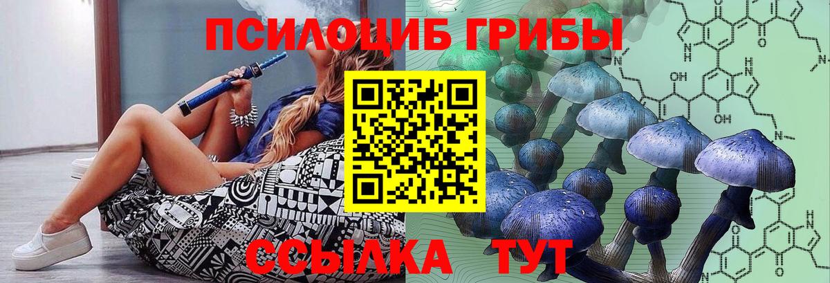 Муром  Псилоцибиновые грибы MAGIC MUSHROOMS  закладки  Вход с VPN 